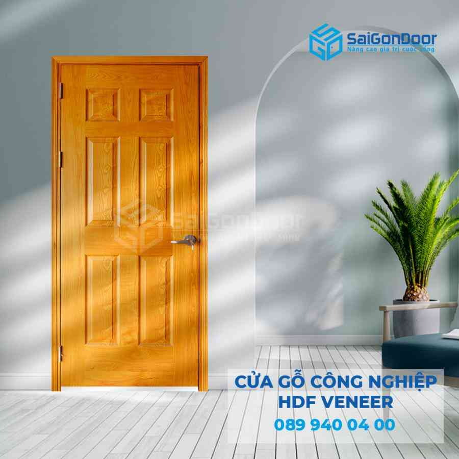 Cửa Gỗ HDF Veneer 6A ash 1 Cua go HDF Veneer 6A ash.jpg SGD HDFV